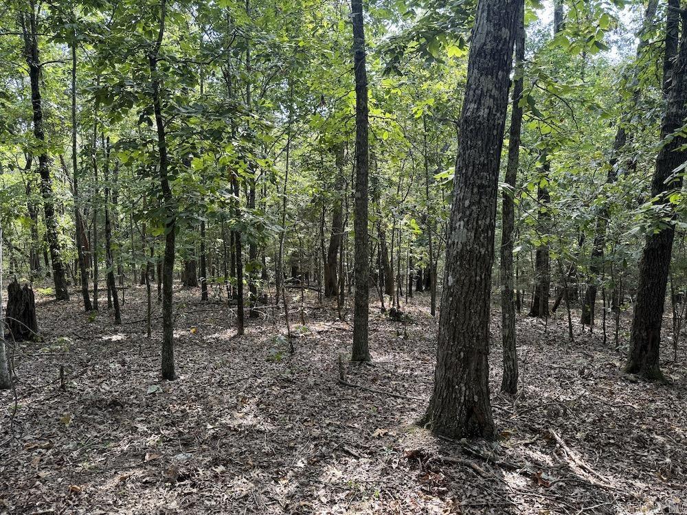  Pine Valley Road  Hardy, AR