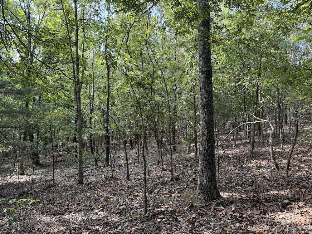  Pine Valley Road  Hardy, AR