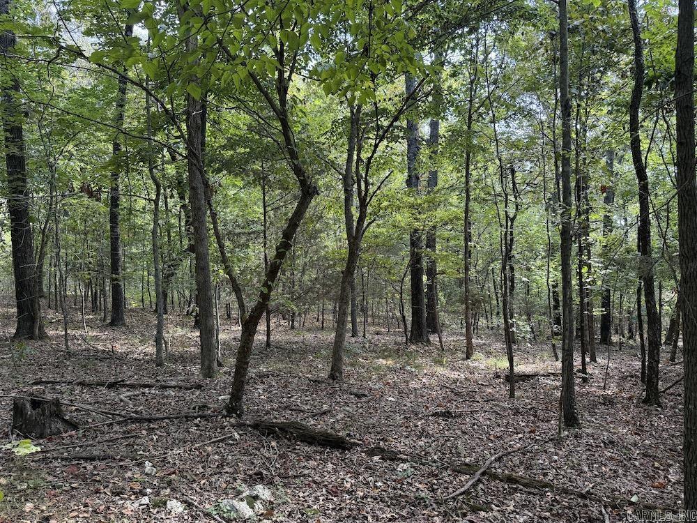  Pine Valley Road  Hardy, AR