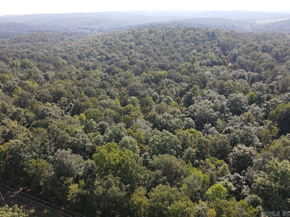  Pine Valley Road  Hardy, AR
