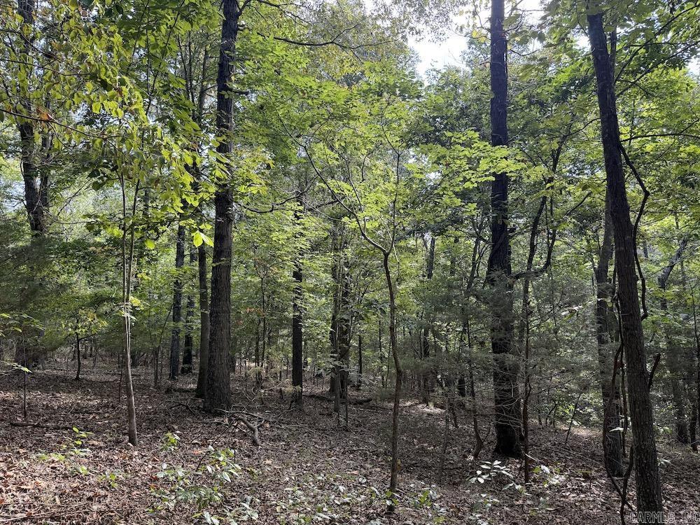  Pine Valley Road  Hardy, AR
