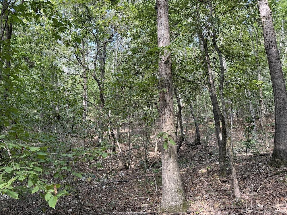  Pine Valley Road  Hardy, AR