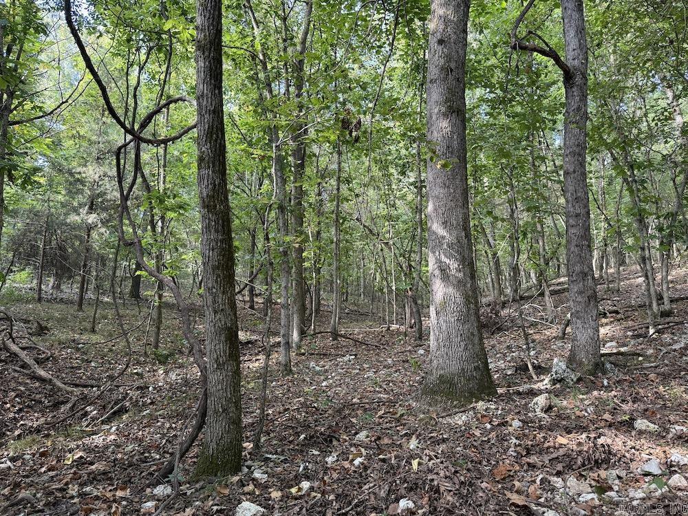  Pine Valley Road  Hardy, AR