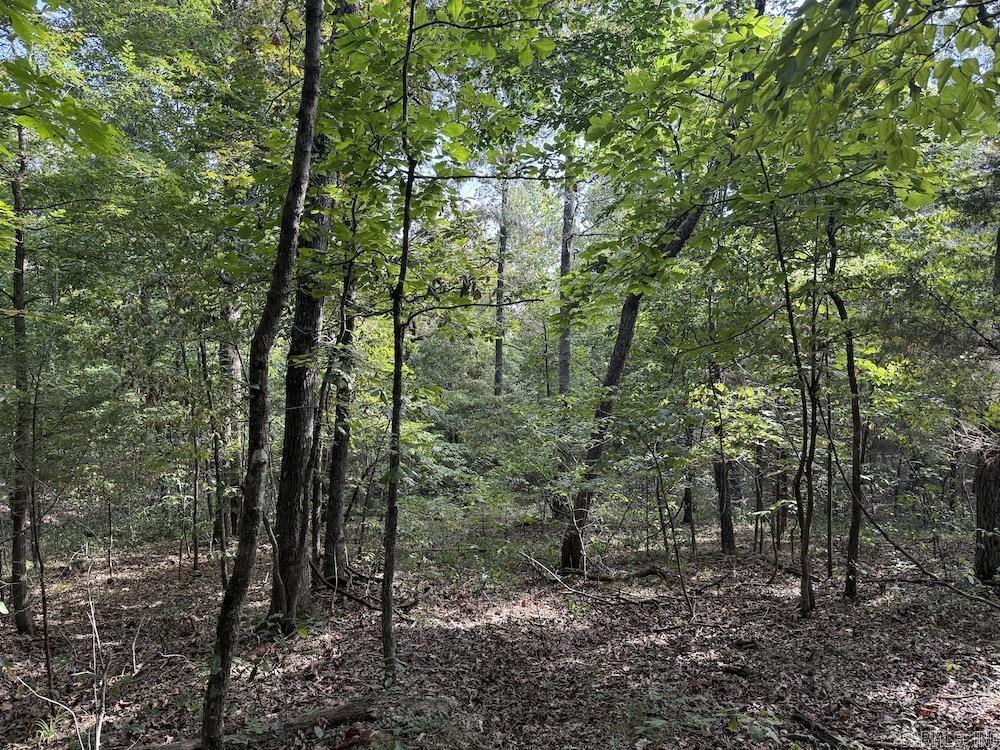  Pine Valley Road  Hardy, AR