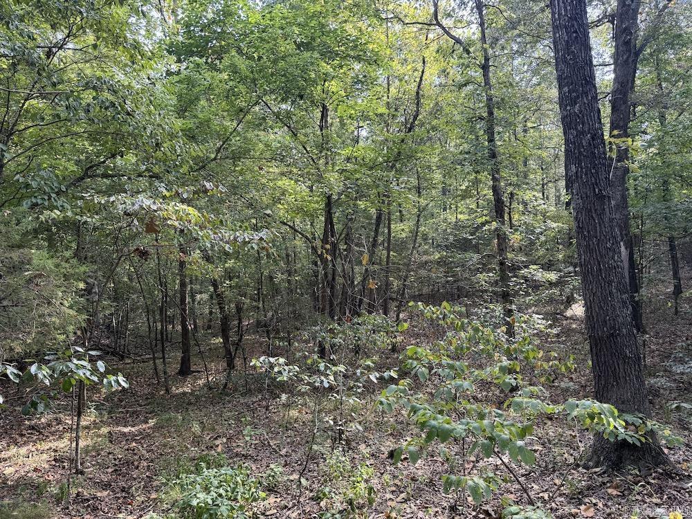  Pine Valley Road  Hardy, AR