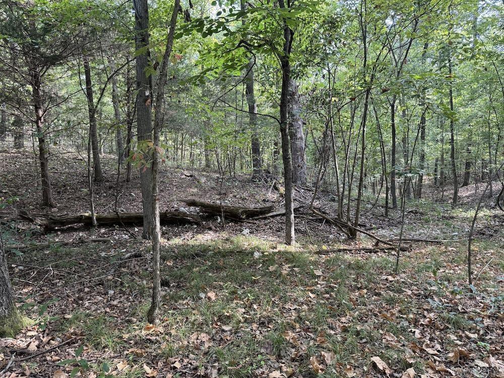  Pine Valley Road  Hardy, AR