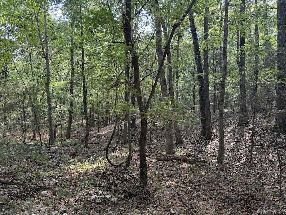  Pine Valley Road  Hardy, AR