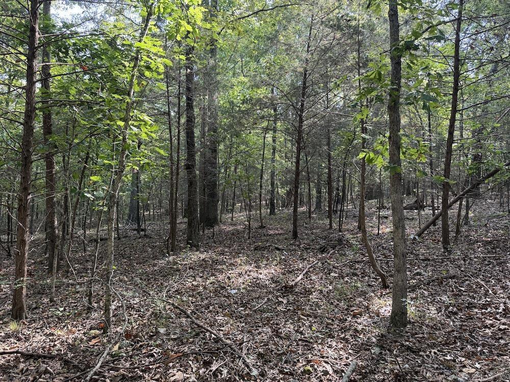  Pine Valley Road  Hardy, AR