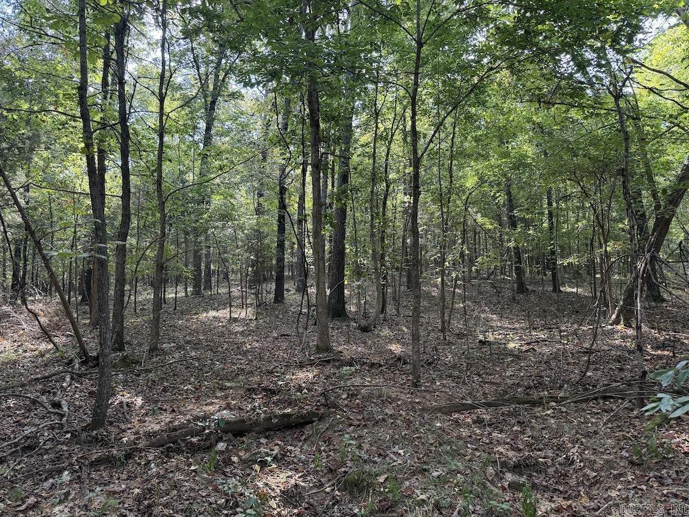  Pine Valley Road  Hardy, AR