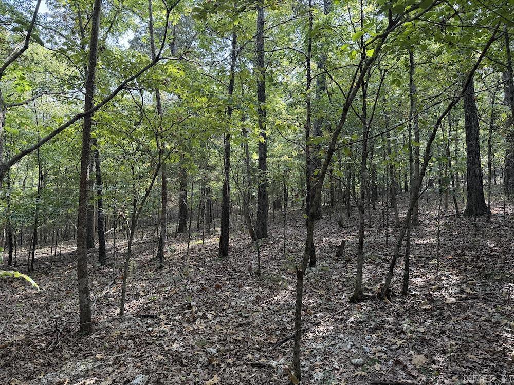  Pine Valley Road  Hardy, AR