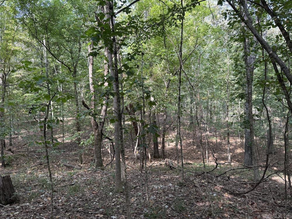  Pine Valley Road  Hardy, AR