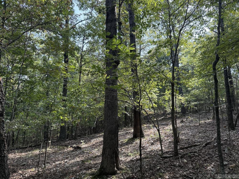  Pine Valley Road  Hardy, AR