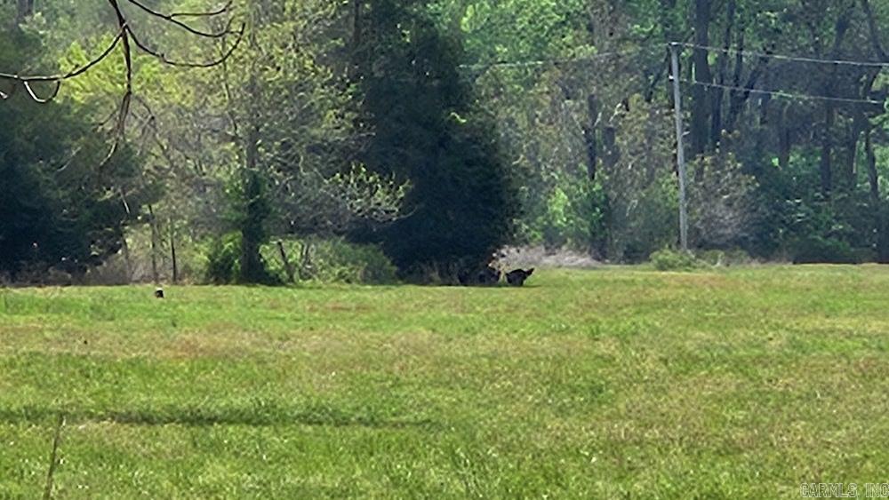  Owens Ward Rd  Fifty-Six, AR