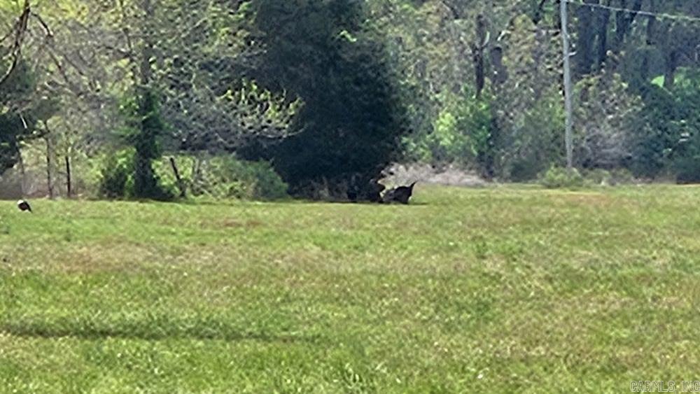  Owens Ward Rd  Fifty-Six, AR