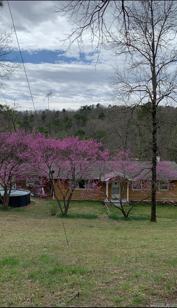 33 Ewe  Yellville, AR
