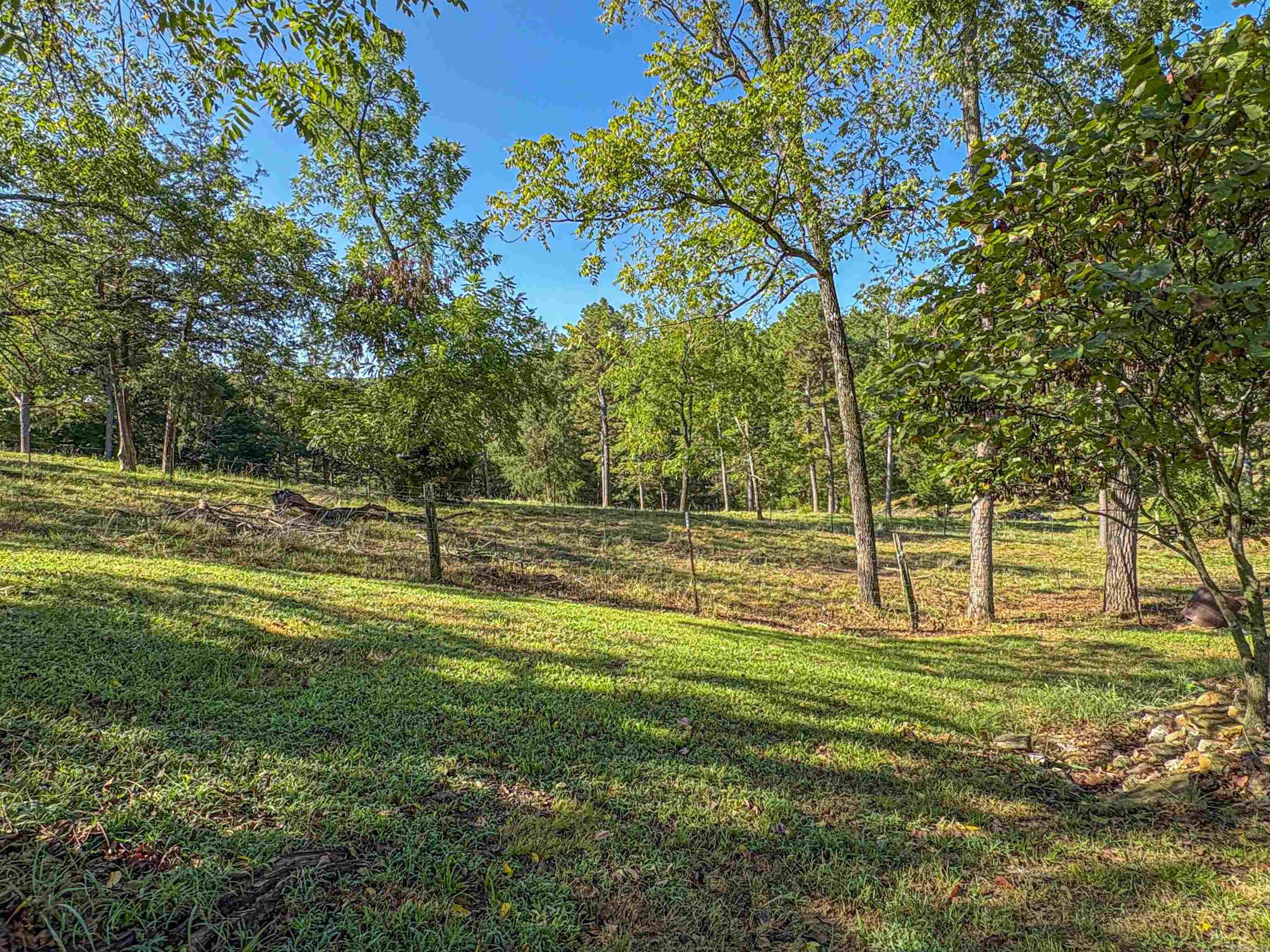 33 Ewe  Yellville, AR