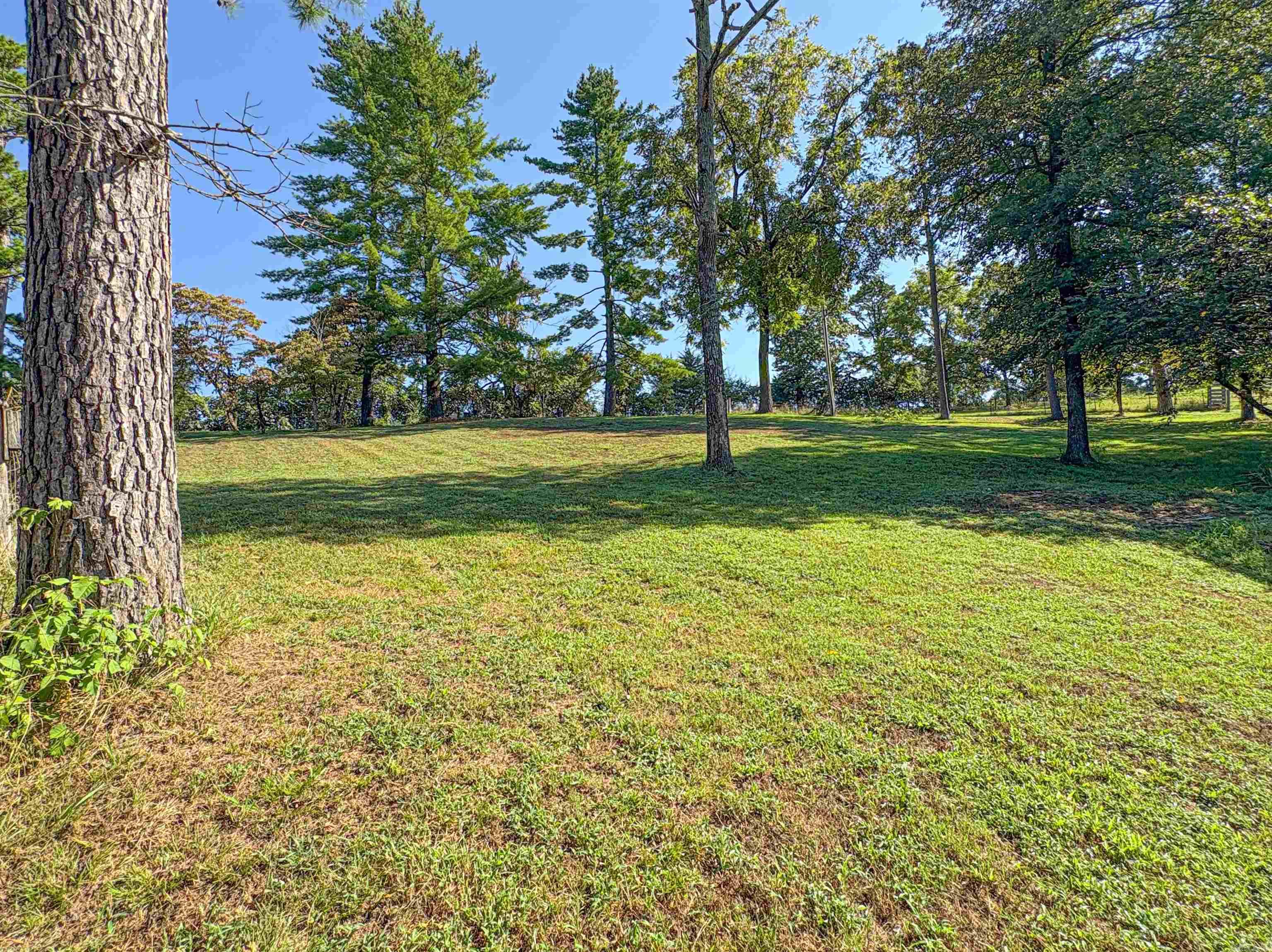 33 Ewe  Yellville, AR