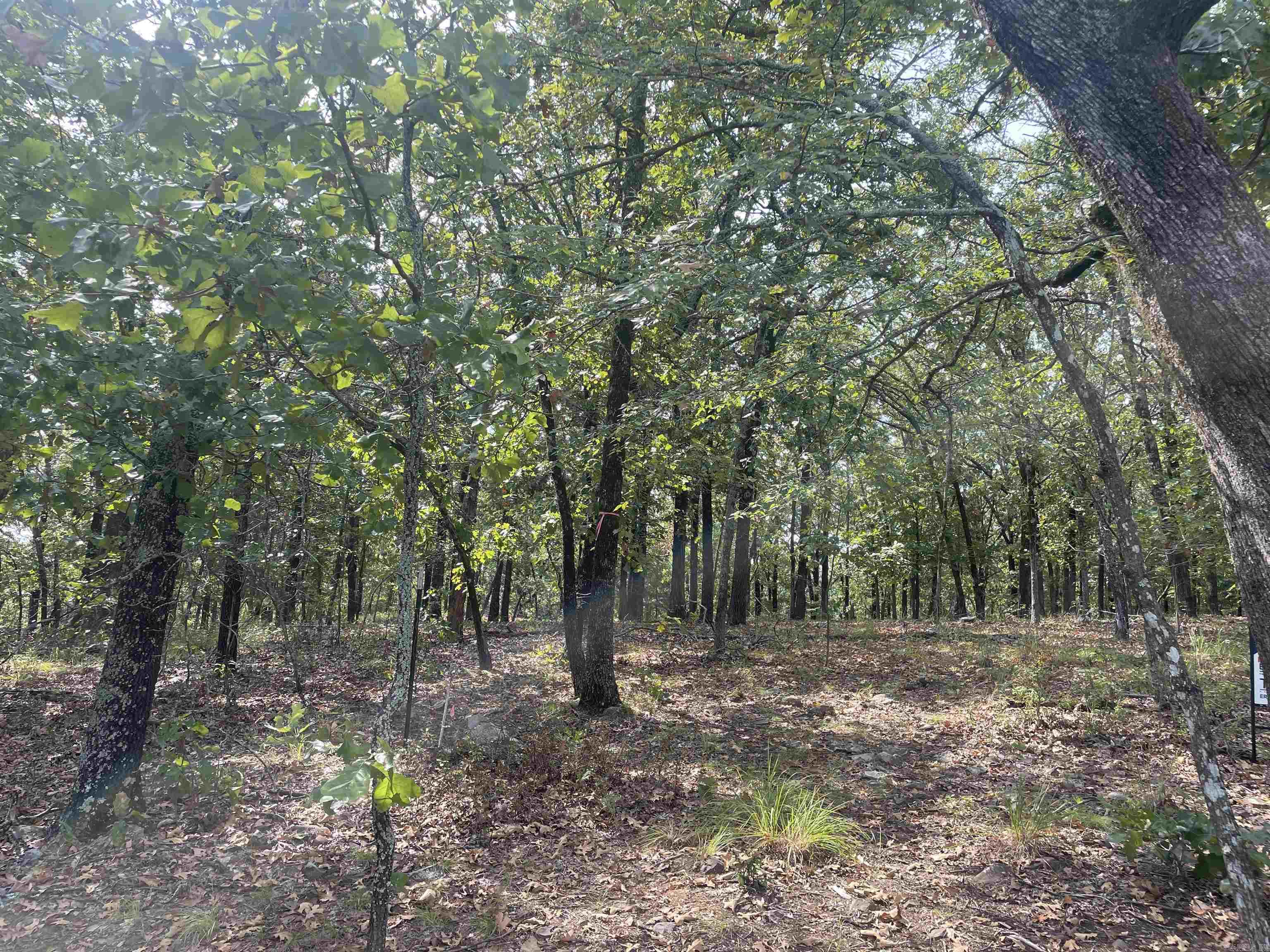 8 acres Lakeview  Conway, AR