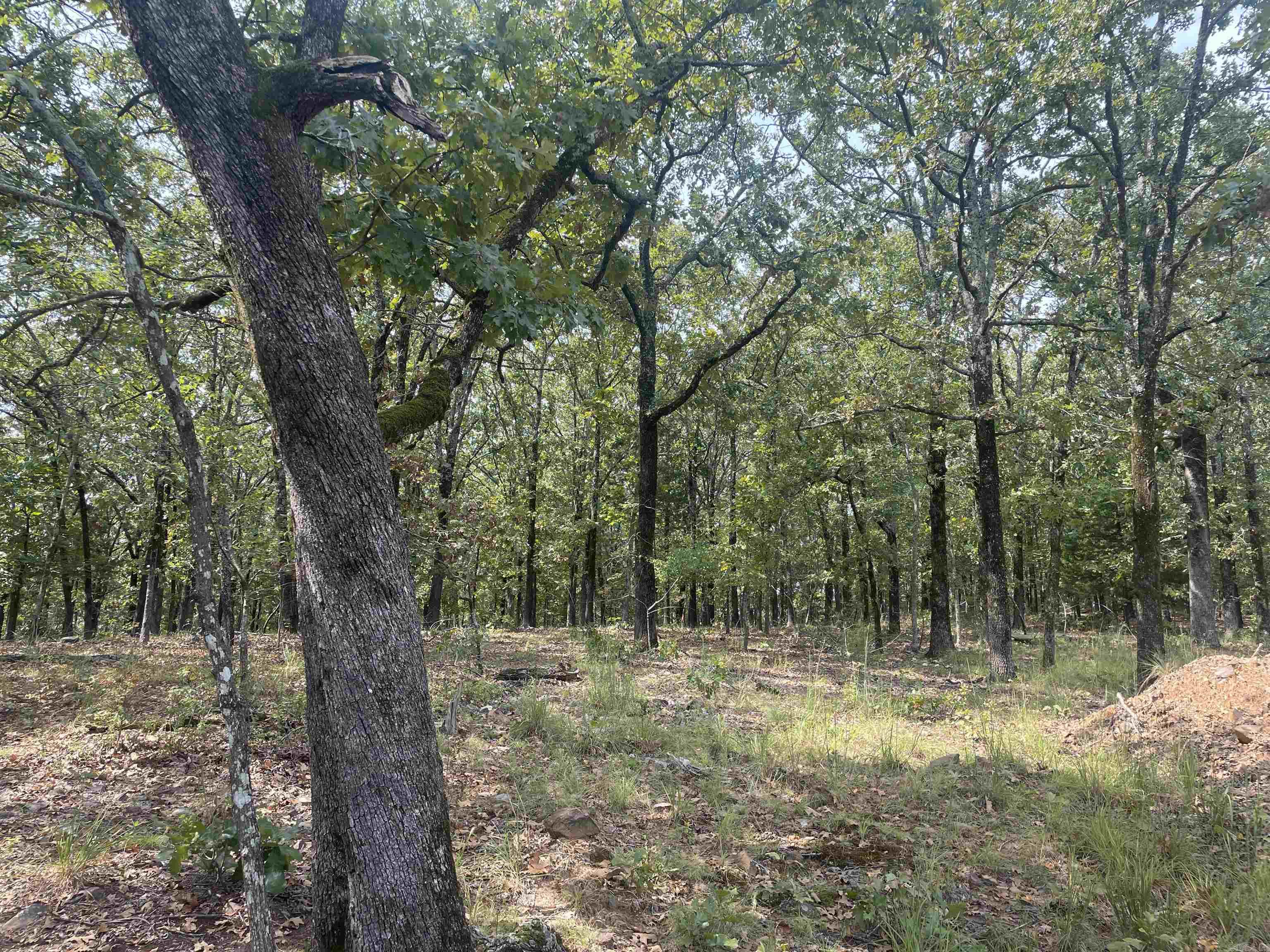 8 acres Lakeview  Conway, AR