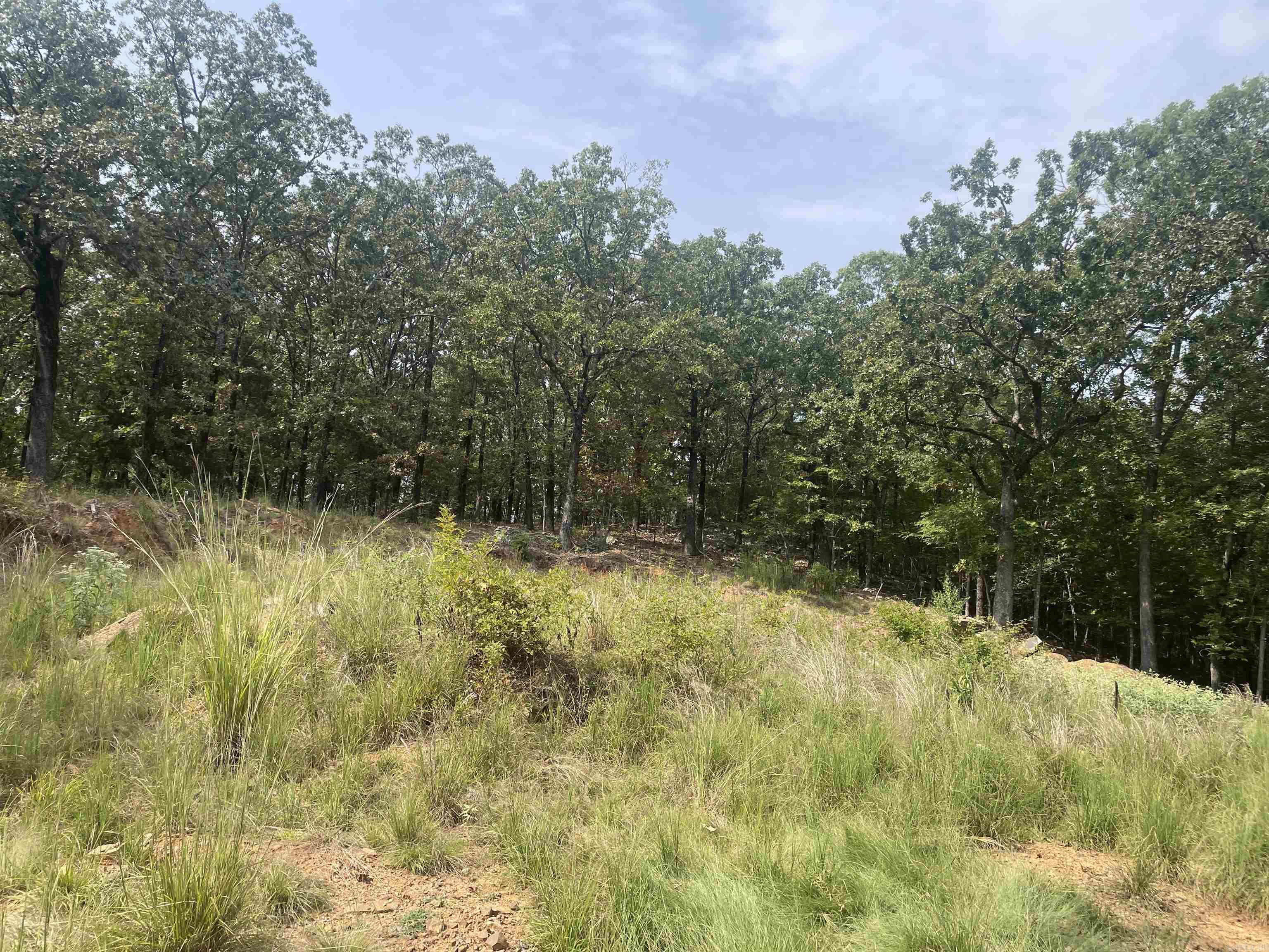 8 acres Lakeview  Conway, AR