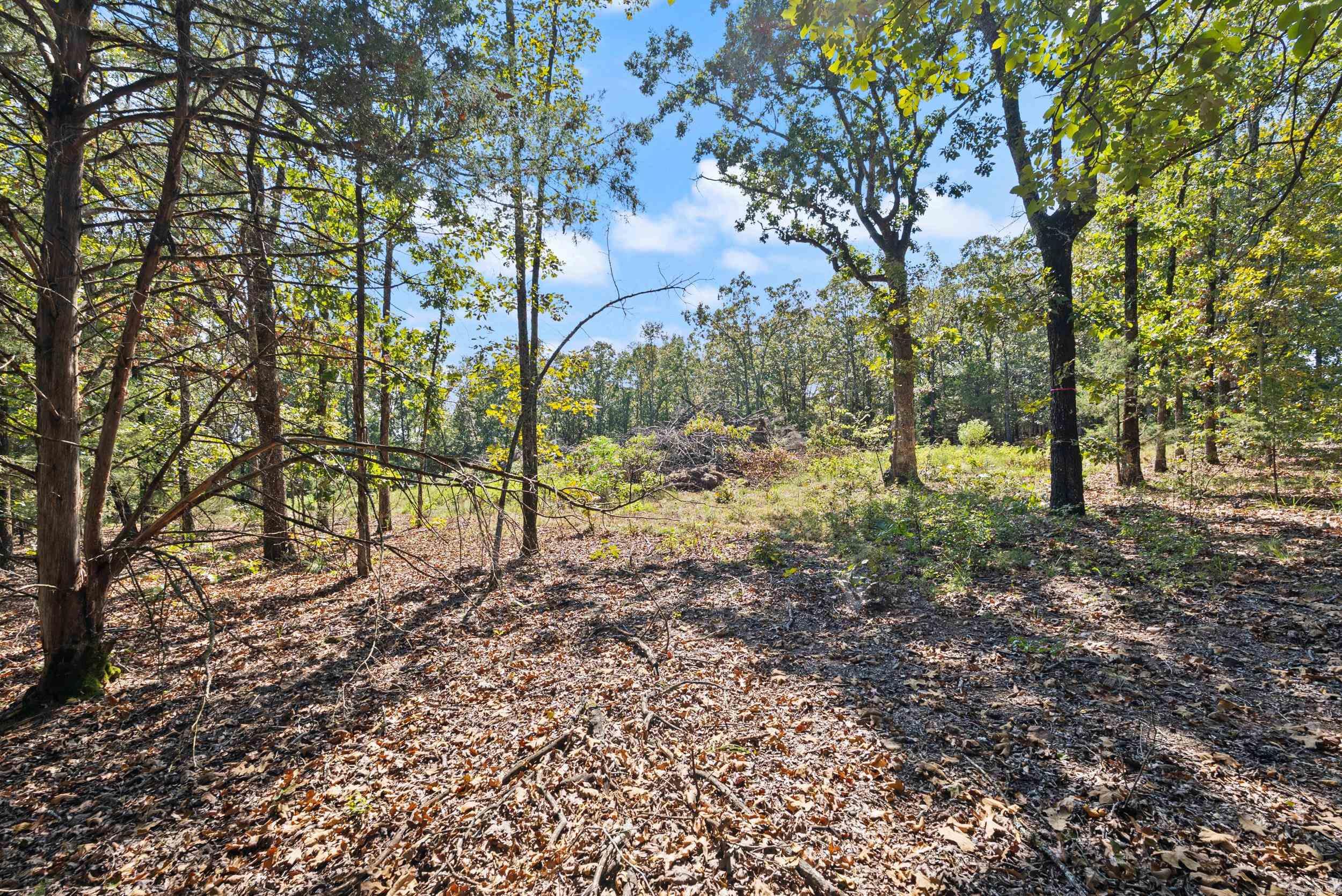 43 Fairway  Greenbrier, AR