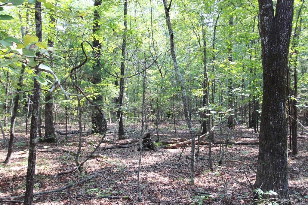 226 Blythe  Greenbrier, AR