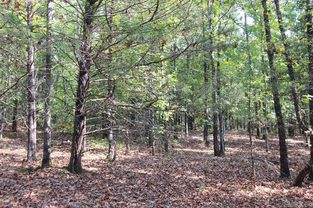 226 Blythe  Greenbrier, AR