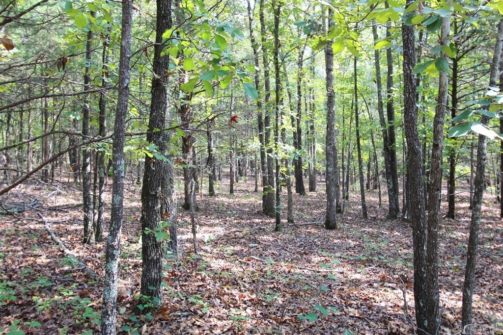 226 Blythe  Greenbrier, AR