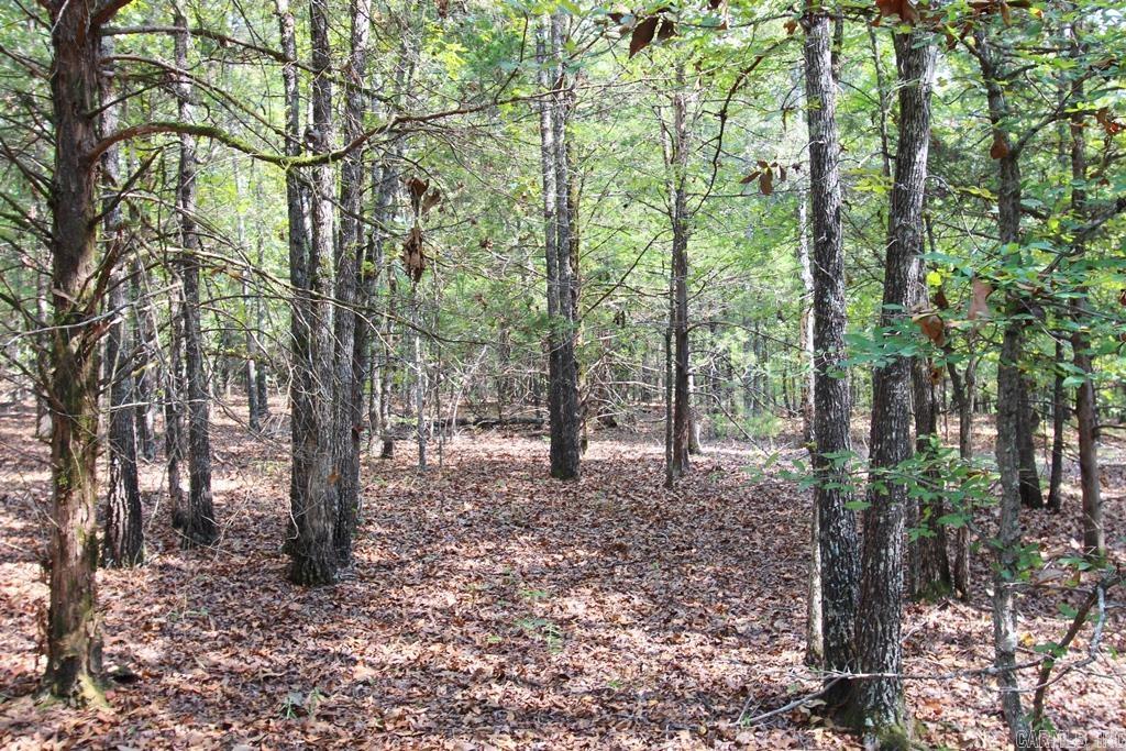 226 Blythe  Greenbrier, AR
