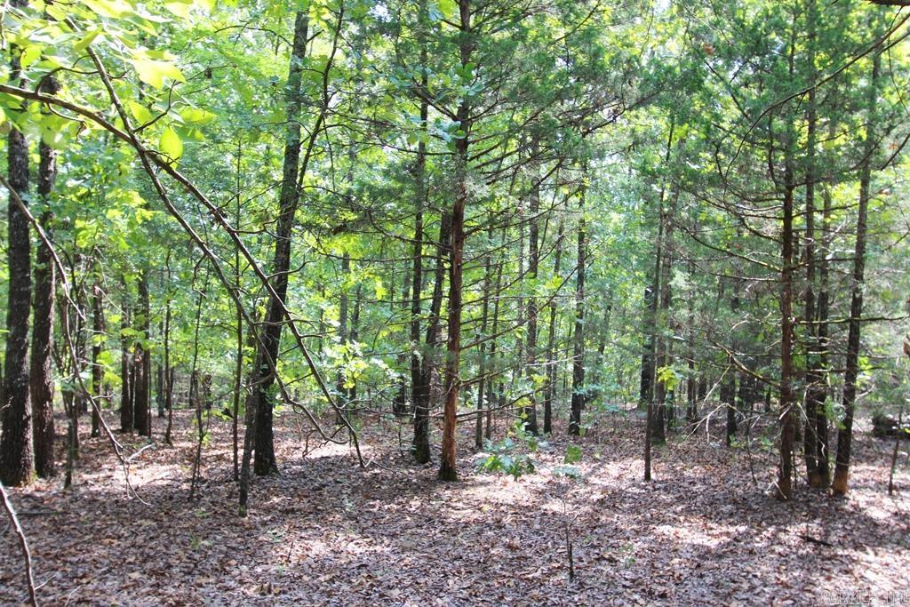 226 Blythe  Greenbrier, AR