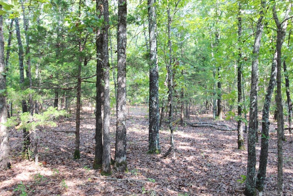 226 Blythe  Greenbrier, AR