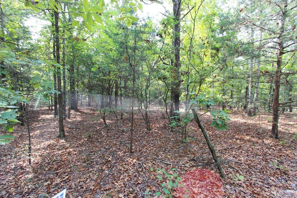 226 Blythe  Greenbrier, AR