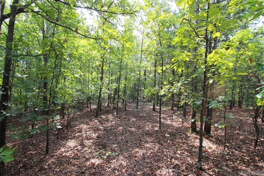 226 Blythe  Greenbrier, AR