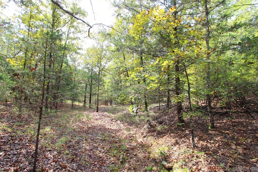 226 Blythe  Greenbrier, AR