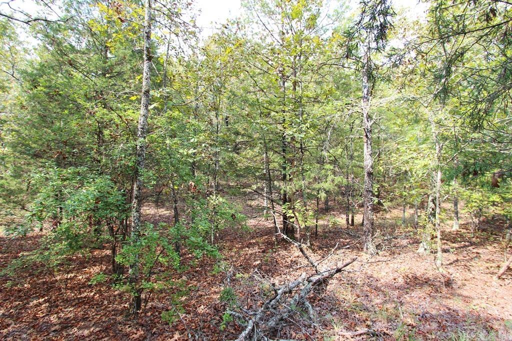 226 Blythe  Greenbrier, AR