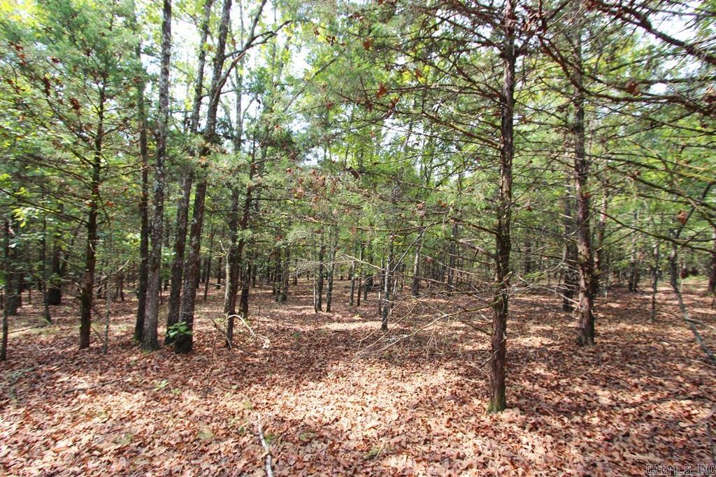 226 Blythe  Greenbrier, AR