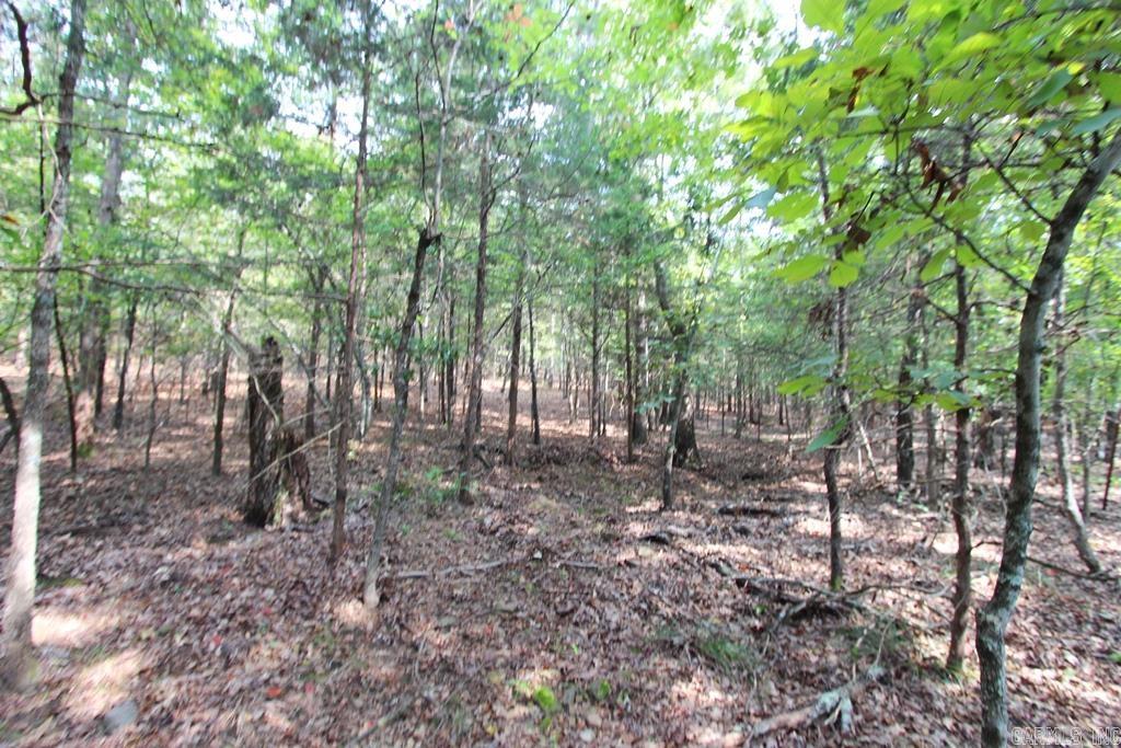 226 Blythe  Greenbrier, AR