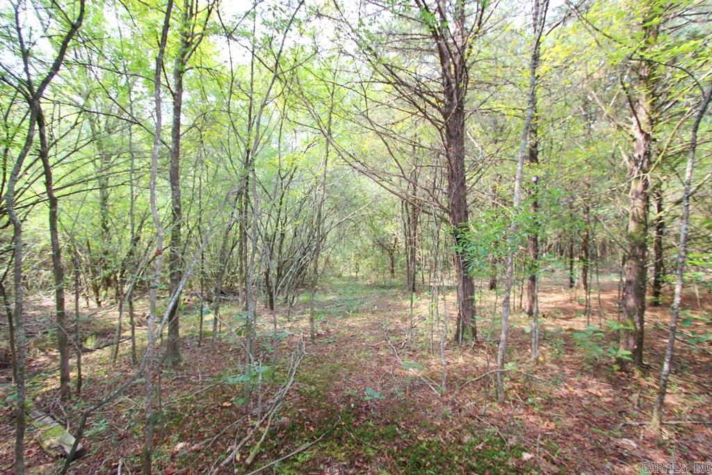 226 Blythe  Greenbrier, AR
