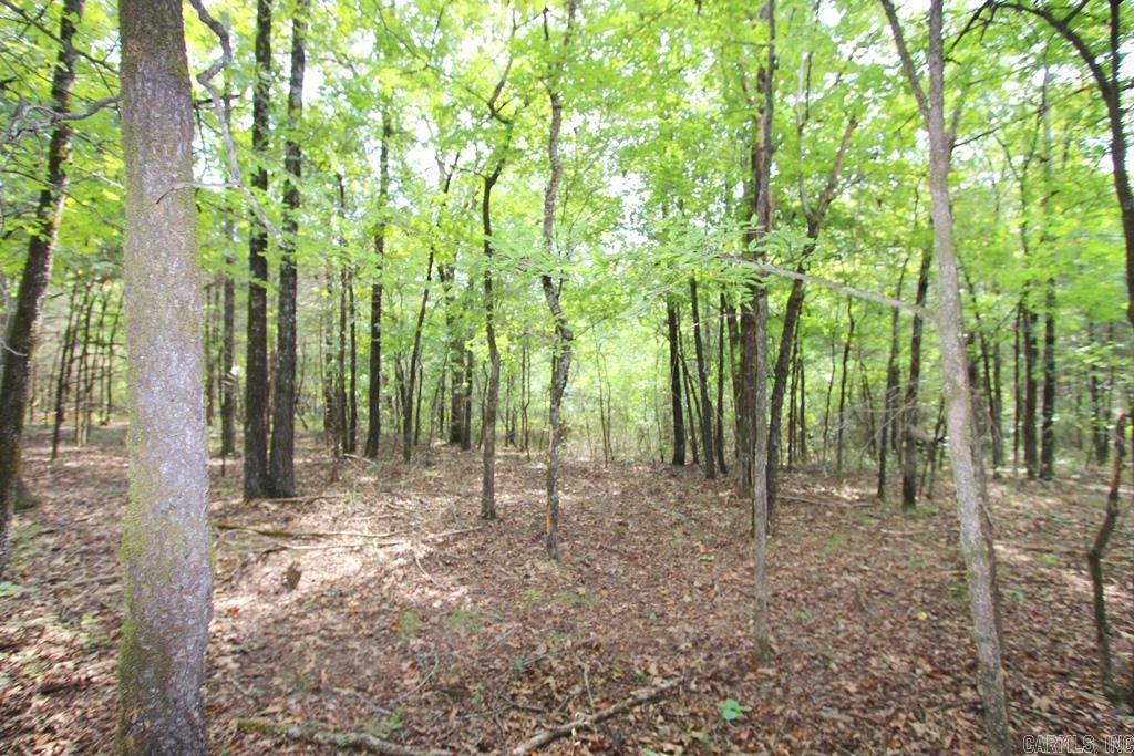 226 Blythe  Greenbrier, AR