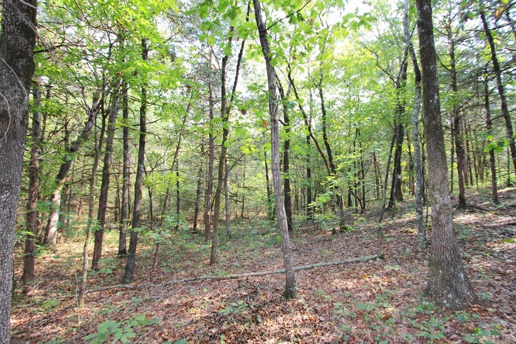 226 Blythe  Greenbrier, AR