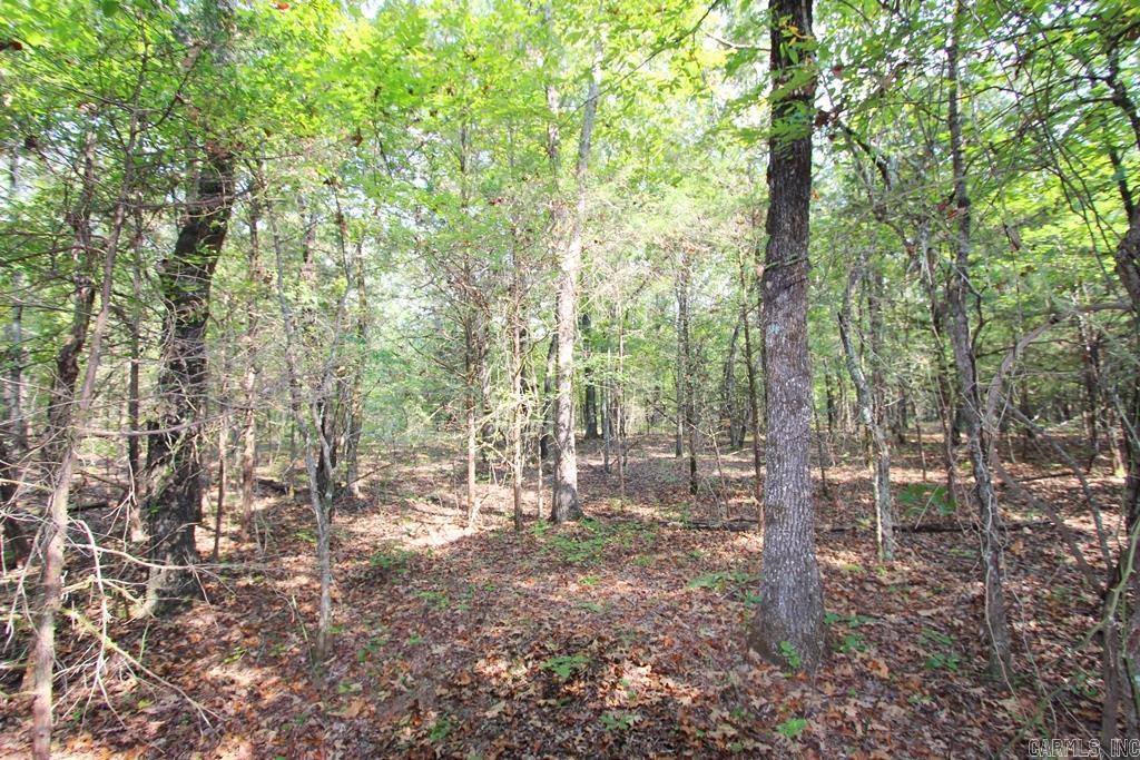 226 Blythe  Greenbrier, AR