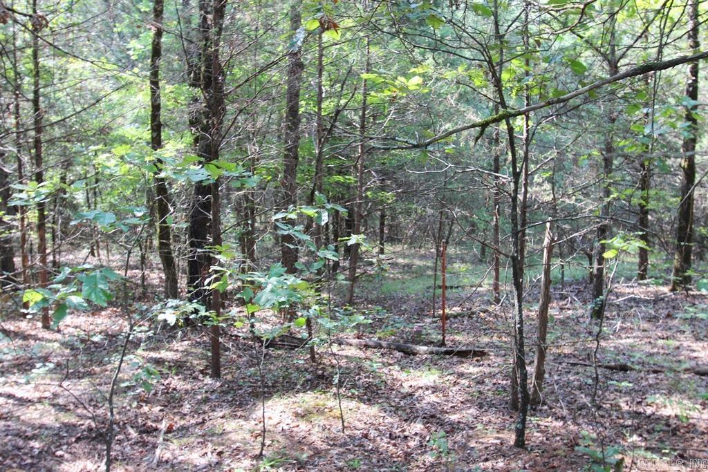226 Blythe  Greenbrier, AR