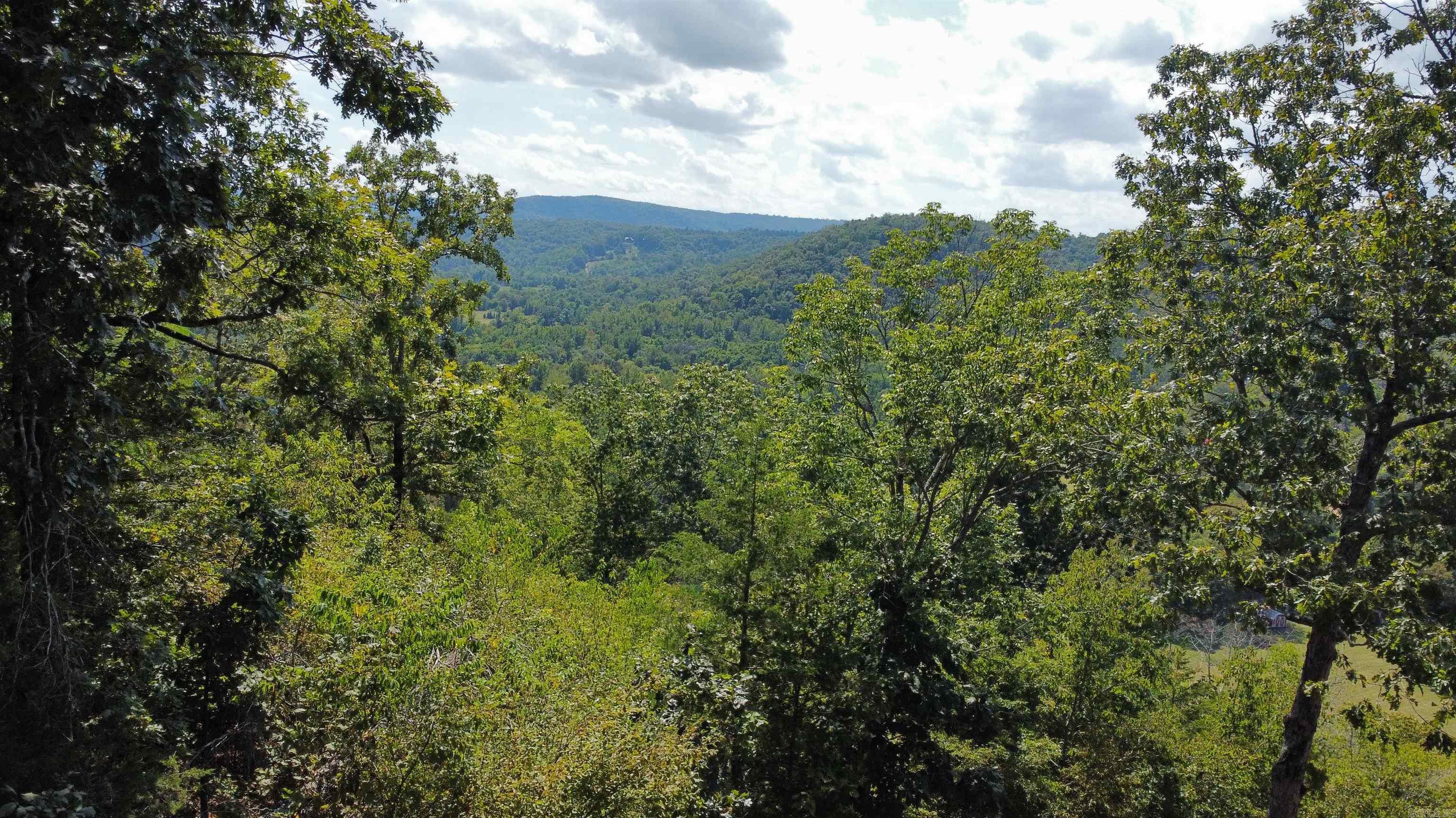 912 Double Bridge Loop  Mountain View, AR
