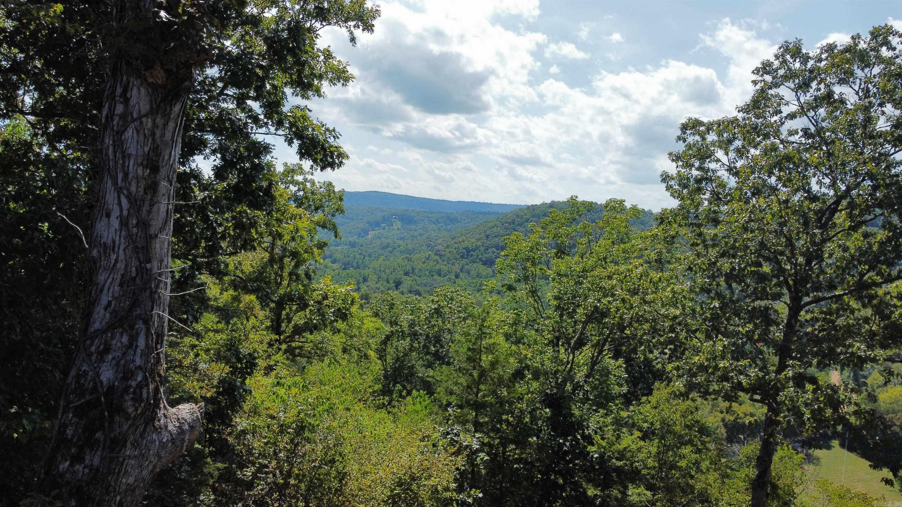 912 Double Bridge Loop  Mountain View, AR