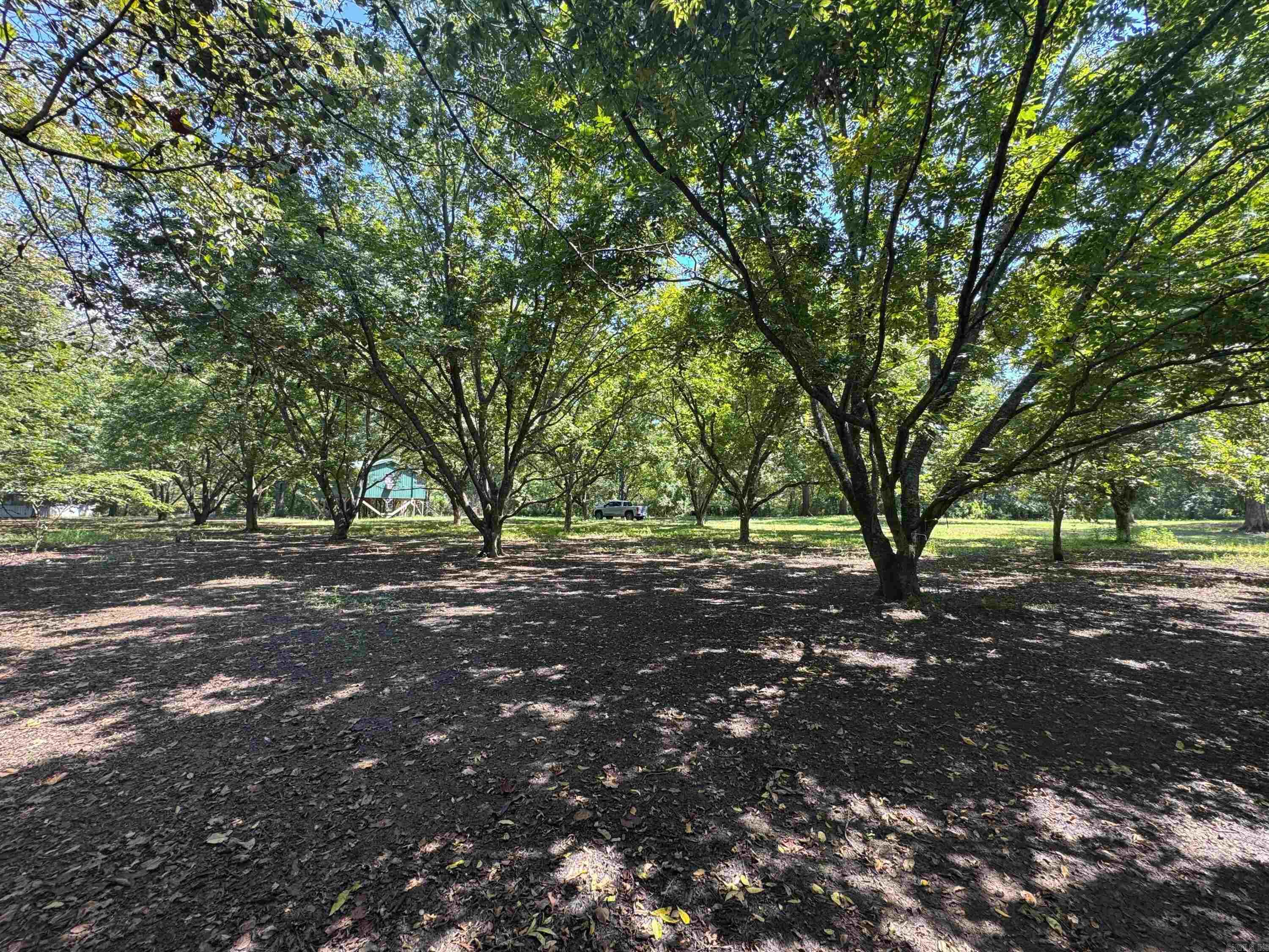 1806 County Rd 150  Augusta, AR
