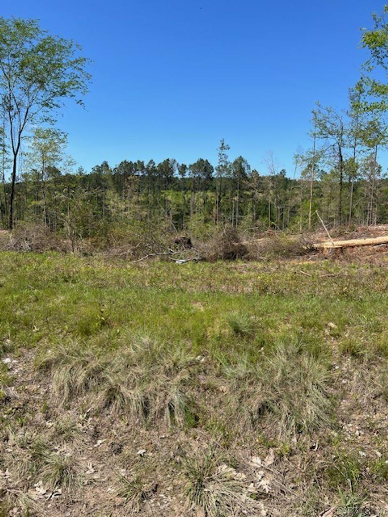 TBD Hwy 84 Tract C Bismarck, AR