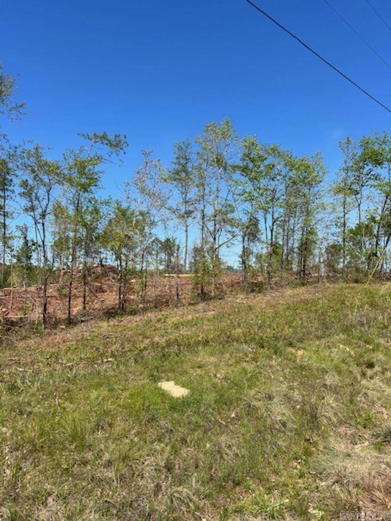 TBD Hwy 84 Tract C Bismarck, AR
