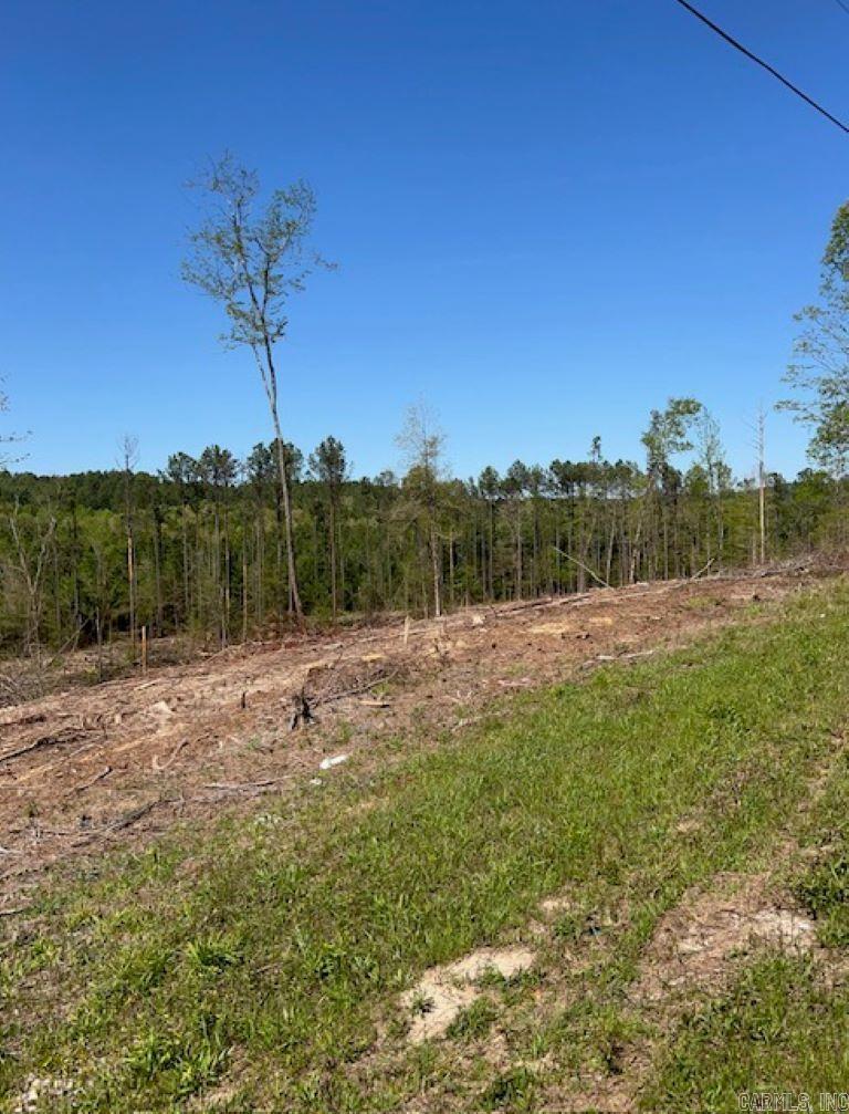 TBD Hwy 84 Tract B Bismarck, AR
