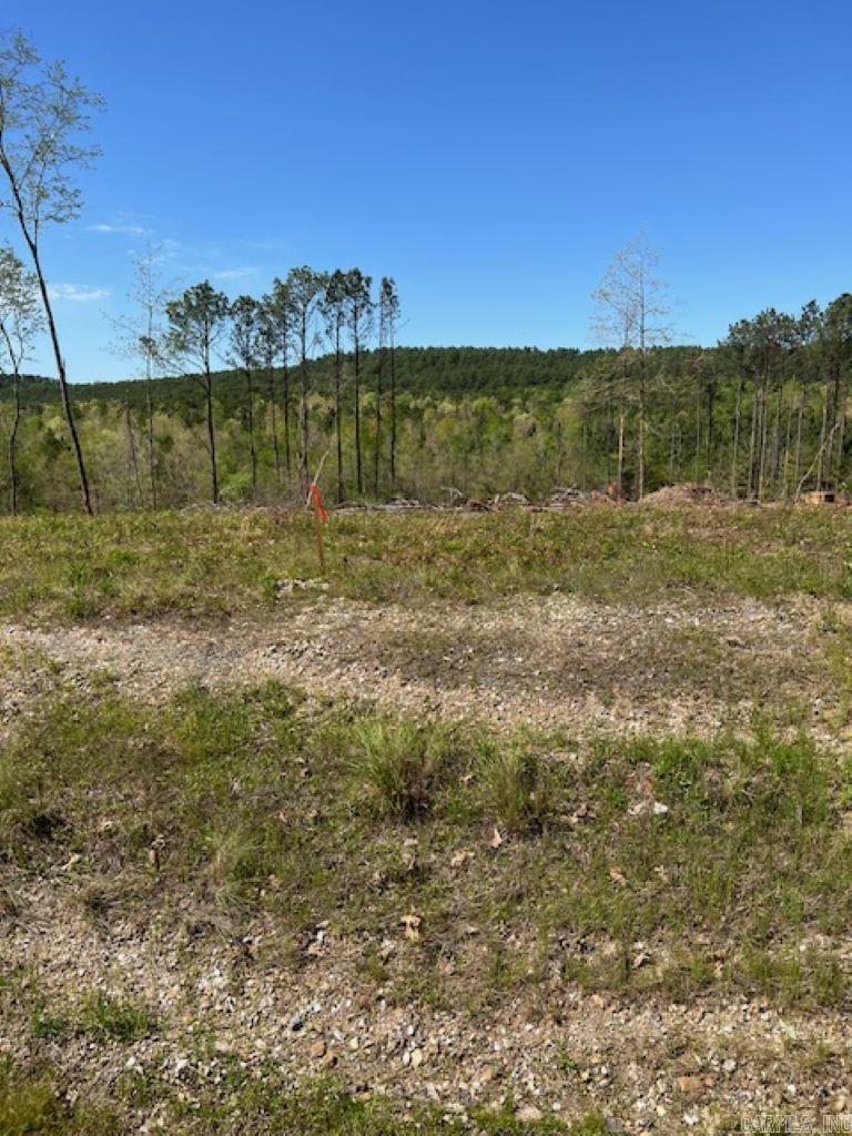 TBD Hwy 84 Tract A Bismarck, AR