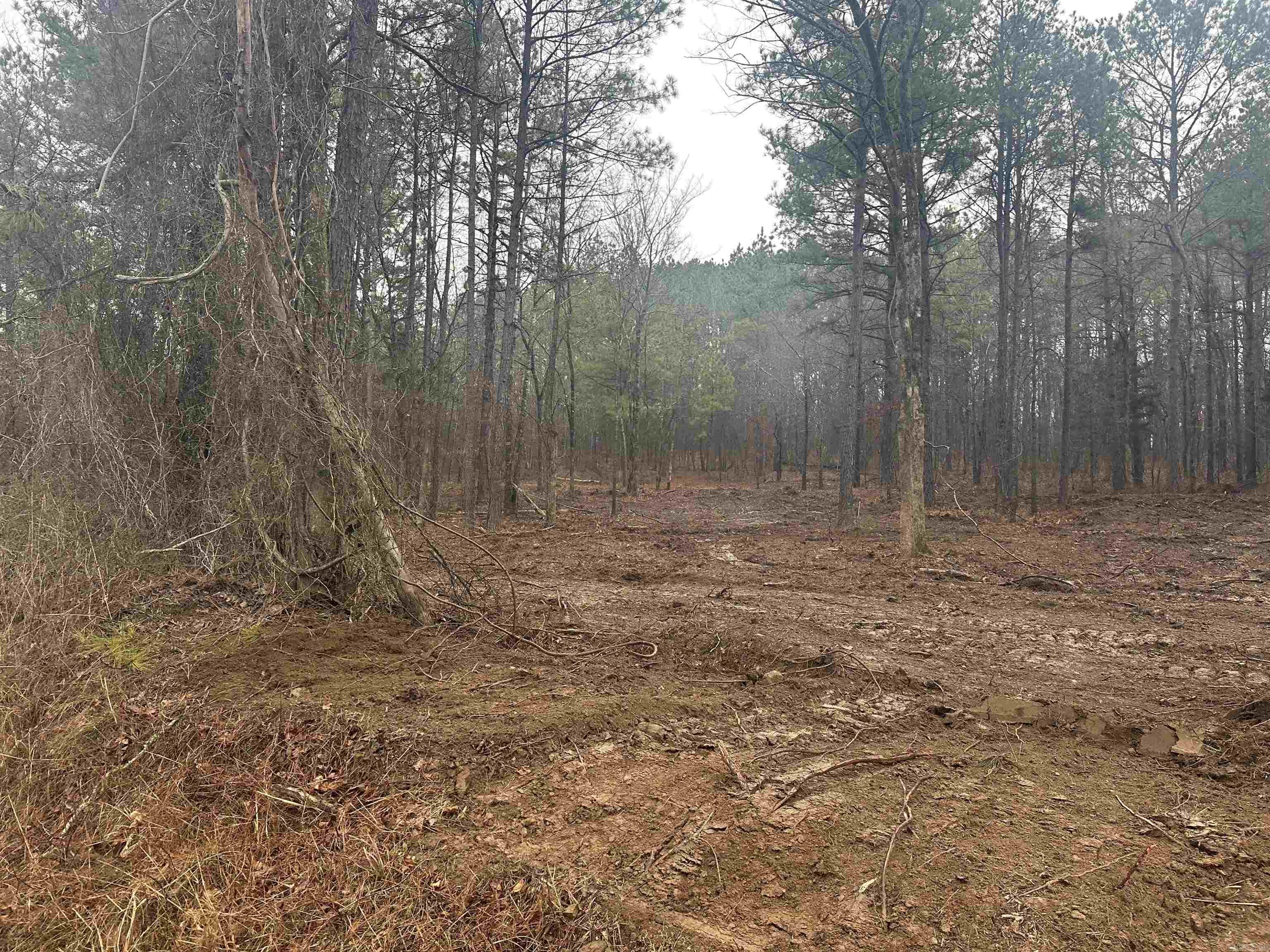 TBD Bob Hall Tract D Donaldson, AR